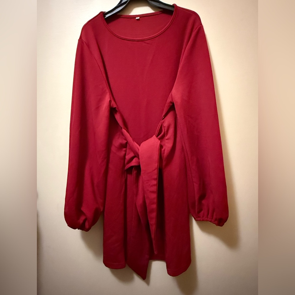 Elegant Red Mini Dress